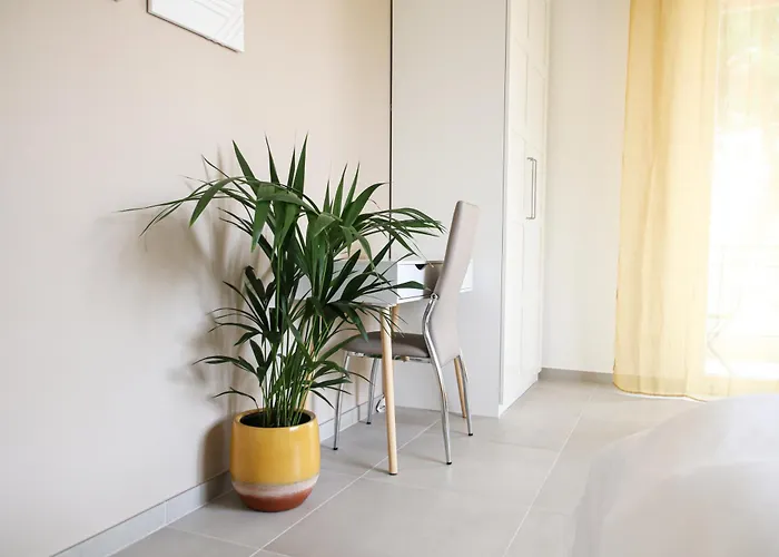 Casa Febo, In Centro Con Parcheggio Privato A 200 Mt Dal Mare Pensión Bordighera